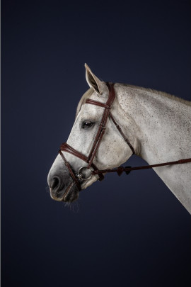 Dyon Anatomic Flash Noseband Bridle 'New English Collection' Dyon Anatomic Flash Noseband Bridle 'New English Collection'
