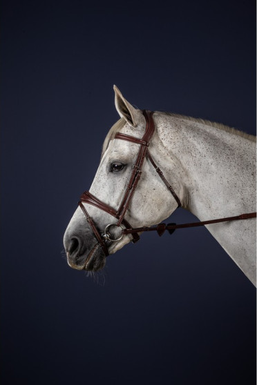 Dyon Anatomic Flash Noseband Bridle 'New English Collection' Dyon Anatomic Flash Noseband Bridle 'New English Collection'