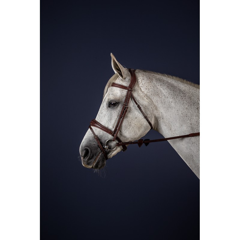 Dyon Anatomic Flash Noseband Bridle 'New English Collection' Dyon Anatomic Flash Noseband Bridle 'New English Collection'