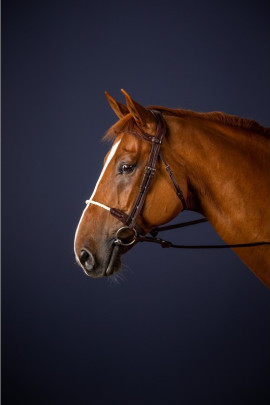 Dyon Rope Noseband Bridle 'New English Collection' Touwen neusriem Dyon Rope Noseband Bridle 'New English Collection' Touwen neusriem