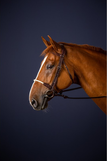 Dyon Rope Noseband Bridle 'New English Collection' Touwen neusriem Dyon Rope Noseband Bridle 'New English Collection' Touwen neusriem