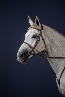 Dyon Leather Covered Rope Noseband 'New English Collection' also available in Brown Dyon Leather Covered Rope Noseband 'New English Collection' also available in Brown