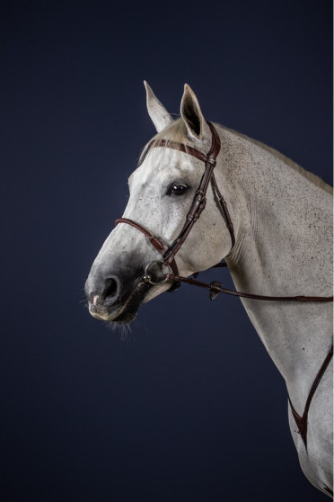 Dyon Leather Covered Rope Noseband 'New English Collection' also available in Brown Dyon Leather Covered Rope Noseband 'New English Collection' also available in Brown