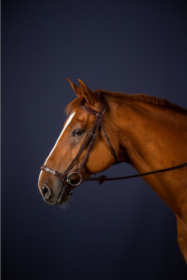 Dyon Adjustable Drop Noseband Bridle 'New English Collection' Dyon Adjustable Drop Noseband Bridle 'New English Collection'