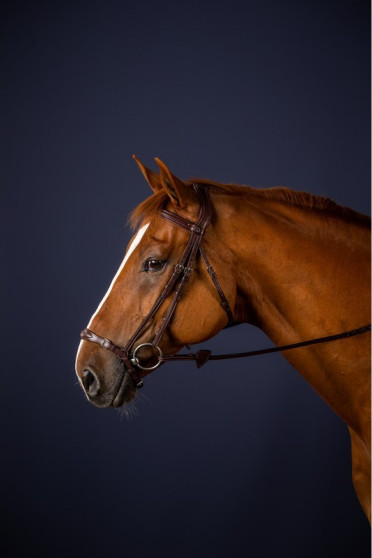 Dyon Adjustable Drop Noseband Bridle 'New English Collection' Dyon Adjustable Drop Noseband Bridle 'New English Collection'