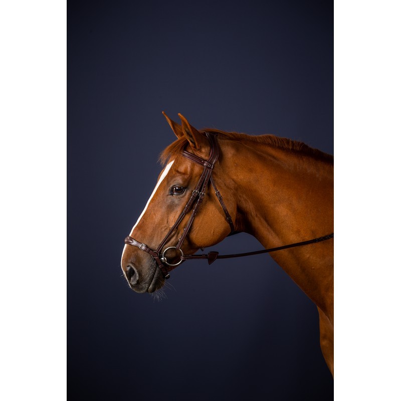 Dyon Adjustable Drop Noseband Bridle 'New English Collection' Dyon Adjustable Drop Noseband Bridle 'New English Collection'