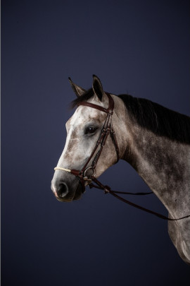 Dyon Drop Rope Noseband Bridle 'New English Collection' Dyon Drop Rope Noseband Bridle 'New English Collection'