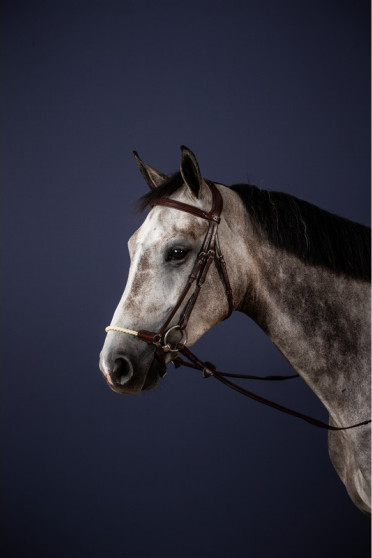Dyon Drop Rope Noseband Bridle 'New English Collection' Dyon Drop Rope Noseband Bridle 'New English Collection'