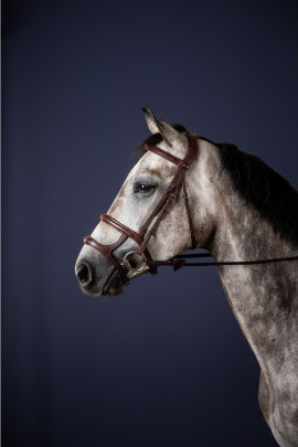 Dyon Double Noseband Bridle 'New English Collection' Dyon Double Noseband Bridle 'New English Collection'