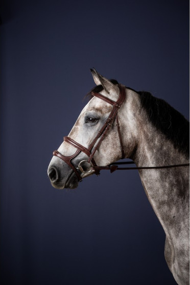 Dyon Double Noseband Bridle 'New English Collection' Dyon Double Noseband Bridle 'New English Collection'