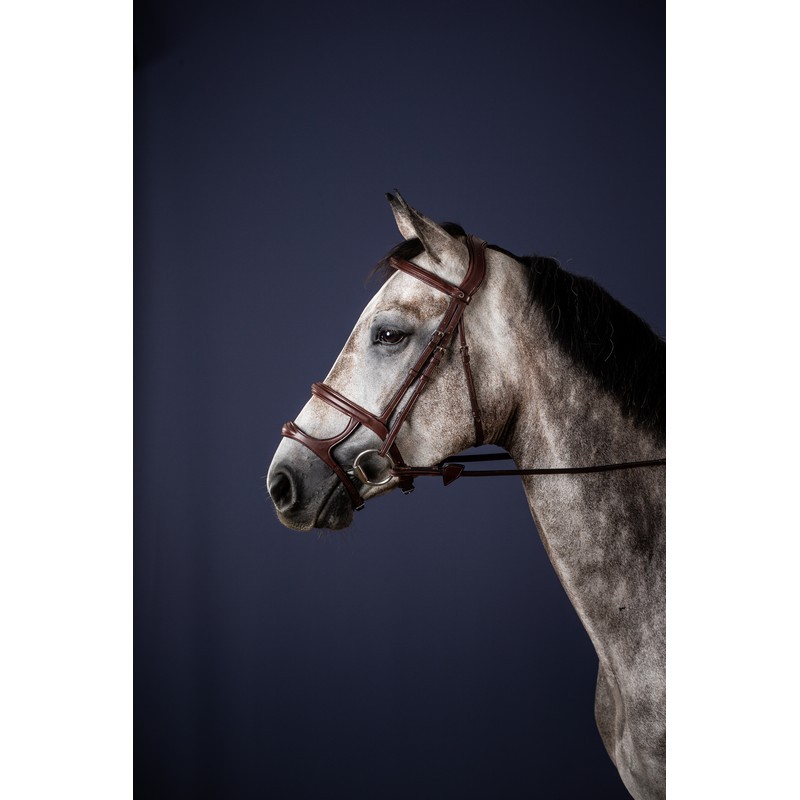 Dyon Double Noseband Bridle 'New English Collection' Dyon Double Noseband Bridle 'New English Collection'