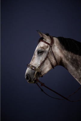 Dyon Hackamore hoofdstel 'New English Collection' Deze collectie heeft geen witte stiksels Dyon Hackamore hoofdstel 'New English Collection' Deze collectie heeft geen witte stiksels