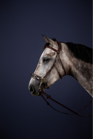 Dyon Hackamore hoofdstel 'New English Collection' Deze collectie heeft geen witte stiksels Dyon Hackamore hoofdstel 'New English Collection' Deze collectie heeft geen witte stiksels
