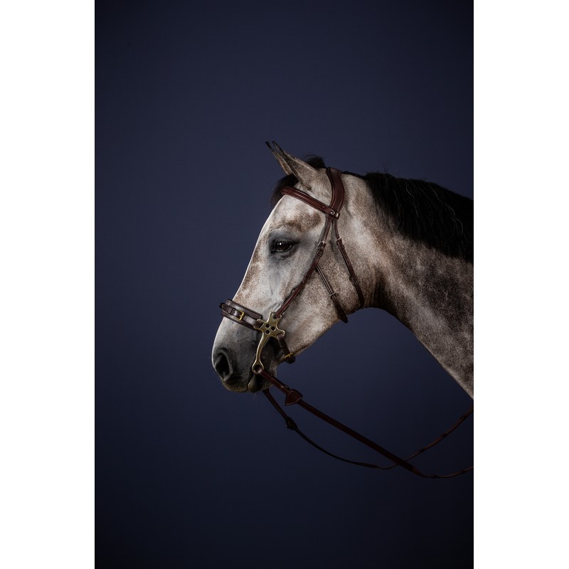 Dyon Hackamore hoofdstel 'New English Collection' Deze collectie heeft geen witte stiksels Dyon Hackamore hoofdstel 'New English Collection' Deze collectie heeft geen witte stiksels