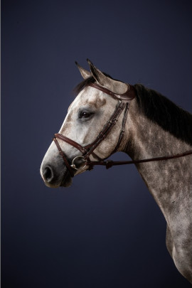 Dyon Difference Bridle 'New English Collection' Dyon Difference Bridle 'New English Collection'