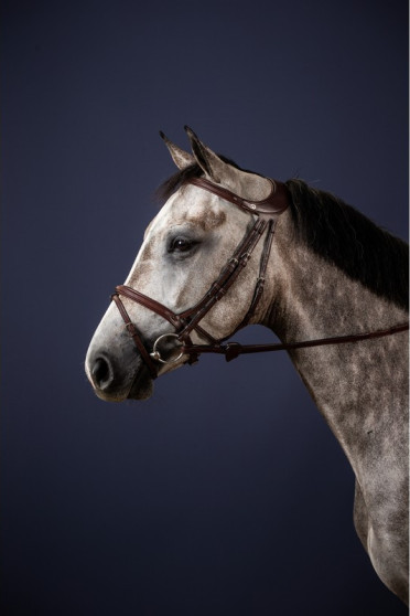 Dyon Difference Bridle 'New English Collection' Dyon Difference Bridle 'New English Collection'