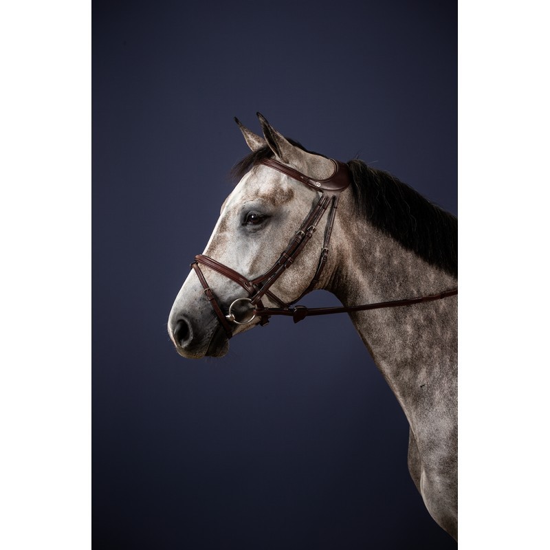 Dyon Difference Bridle 'New English Collection' Dyon Difference Bridle 'New English Collection'