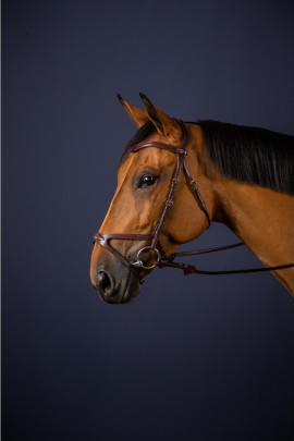 Dyon X-Fit Bridle 'New English Collection' leverbaar in Pony, cob en full maat Dyon X-Fit Bridle 'New English Collection' leverbaar in Pony, cob en full maat