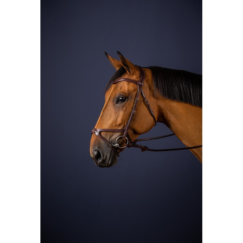 Dyon X-Fit Bridle 'New English Collection' leverbaar in Pony, cob en full maat Dyon X-Fit Bridle 'New English Collection' leverbaar in Pony, cob en full maat