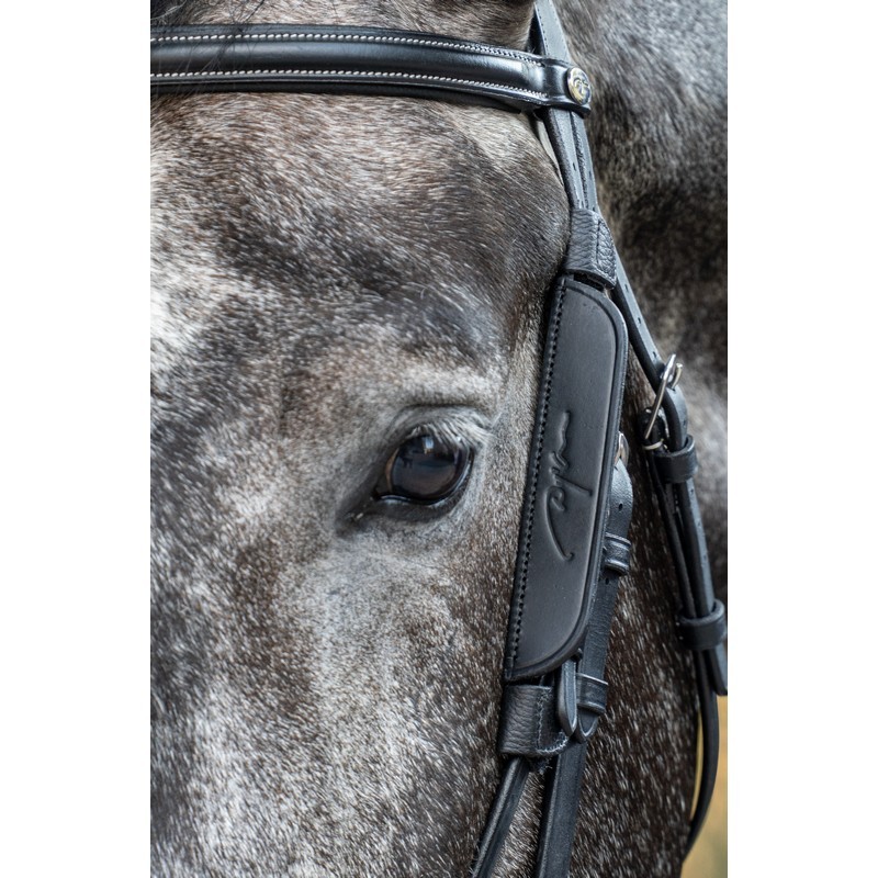 Dyon Blinkers Dyon Blinkers