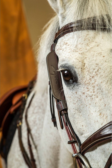 Dyon Blinkers Dyon Blinkers