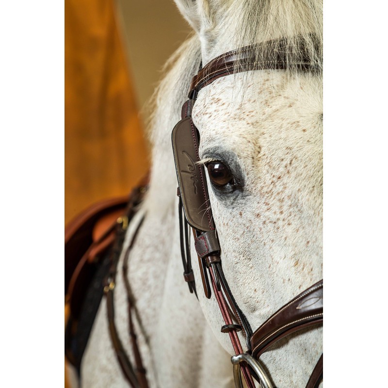 Dyon Blinkers Dyon Blinkers