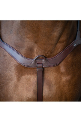 Dyon Anatomic Breastplate 'New English Collection' Dyon Anatomic Breastplate 'New English Collection'