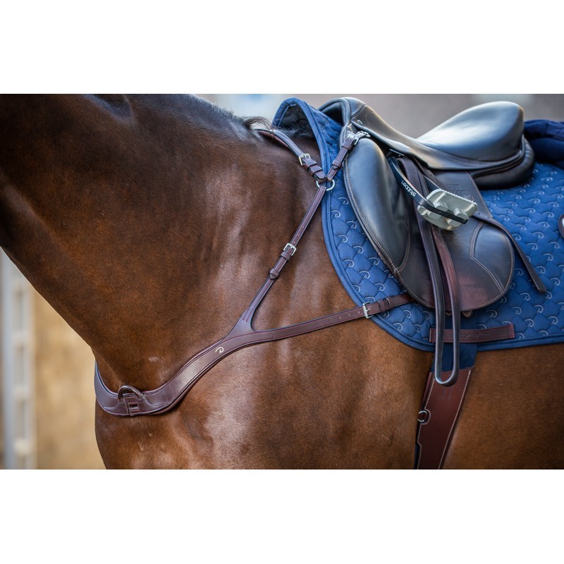 Dyon Anatomic Breastplate 'New English Collection' Dyon Anatomic Breastplate 'New English Collection'