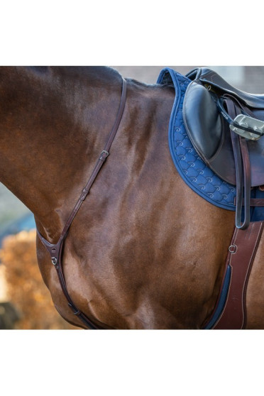 Dyon Yoke 'New English Collection'