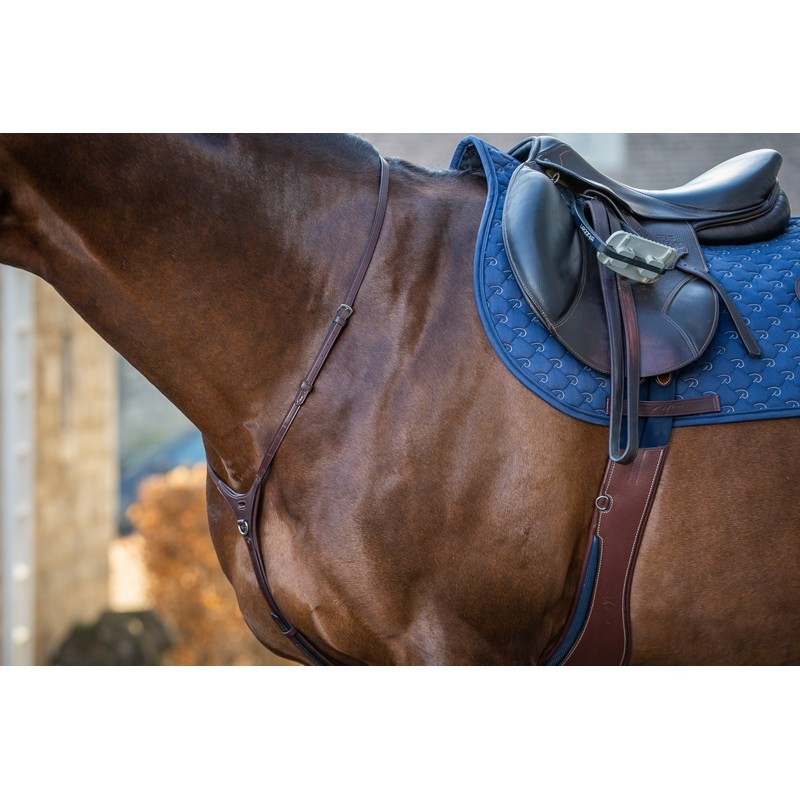 Dyon Yoke 'New English Collection'