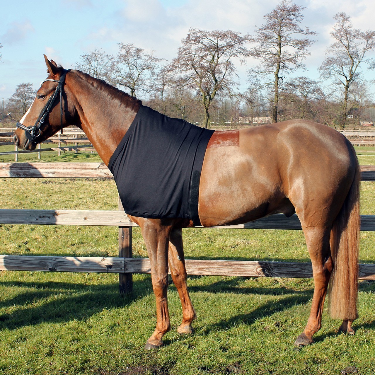 QHP Borstbeschermer Lycra QHP Borstbeschermer Lycra