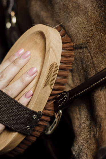 Body Brush Middle Hard Grooming Deluxe Kentucky Horsewear Body Brush Middle Hard Grooming Deluxe Kentucky Horsewear