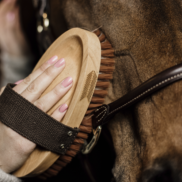 Body Brush Middle Hard Grooming Deluxe Kentucky Horsewear Body Brush Middle Hard Grooming Deluxe Kentucky Horsewear
