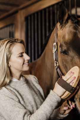 Body Brush Middle Hard Grooming Deluxe Kentucky Horsewear Body Brush Middle Hard Grooming Deluxe Kentucky Horsewear