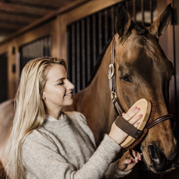 Body Brush Middle Hard Grooming Deluxe Kentucky Horsewear Body Brush Middle Hard Grooming Deluxe Kentucky Horsewear