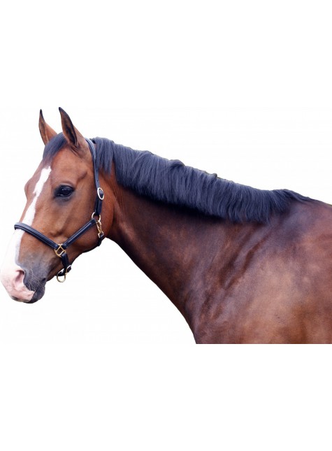 QHP Head Collar Leather Delicate