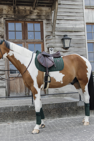 Kentucky Horsewear Saddle Pad Velvet Pearls Jumping Kentucky Horsewear Saddle Pad Velvet Pearls Jumping
