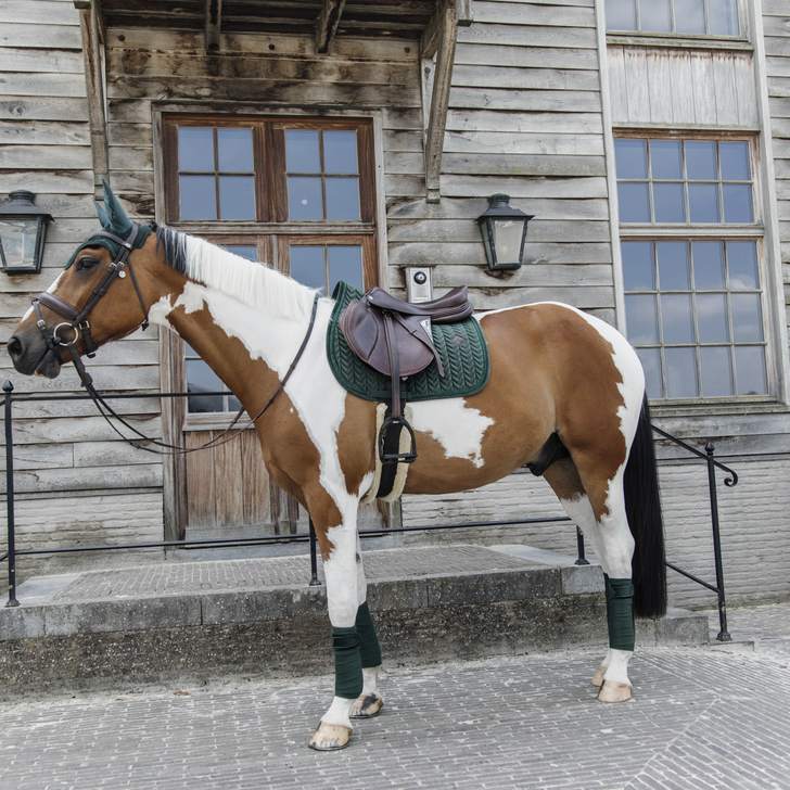 Kentucky Horsewear Saddle Pad Velvet Pearls Jumping Kentucky Horsewear Saddle Pad Velvet Pearls Jumping