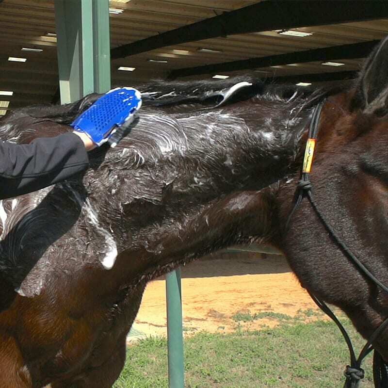 Vetericyn FoamCare Paardenshampoo voor ieder haar type Vetericyn FoamCare Paardenshampoo voor ieder haar type
