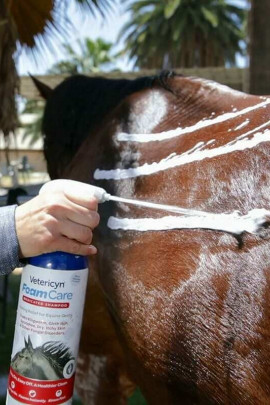 Vetericyn FoamCare Paardenshampoo voor ieder haar type Vetericyn FoamCare Paardenshampoo voor ieder haar type