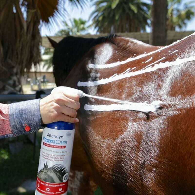 Vetericyn FoamCare Horse Shampoo, PH Neutral for every horse skin Vetericyn FoamCare Horse Shampoo, PH Neutral for every horse skin