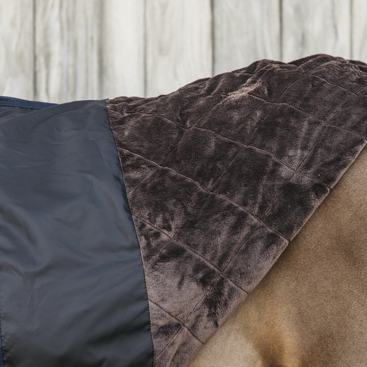 Kentucky Turnout Rug All Weather Waterproof Pro 0 gram, Waterproof Kentucky Turnout Rug All Weather Waterproof Pro 0 gram, Waterproof