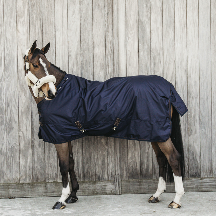 Kentucky Turnout Rug All Weather Waterproof Pro 0 gram, Waterproof Kentucky Turnout Rug All Weather Waterproof Pro 0 gram, Waterproof