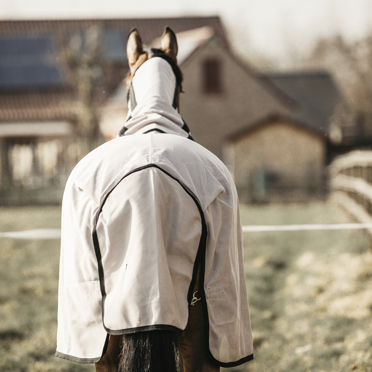 Kentucky Horsewear Mesh Fly Rug Beige, perfect protection for in the field