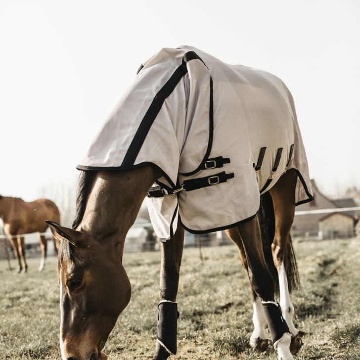 Kentucky Horsewear Mesh Fly Rug Beige, Perfect bescherming tegen insecten in de wei.