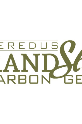 Veredus Grand Slam Carbon Gel Gold Edition Rear Fetlock Boot Veredus Grand Slam Carbon Gel Gold Edition Rear Fetlock Boot