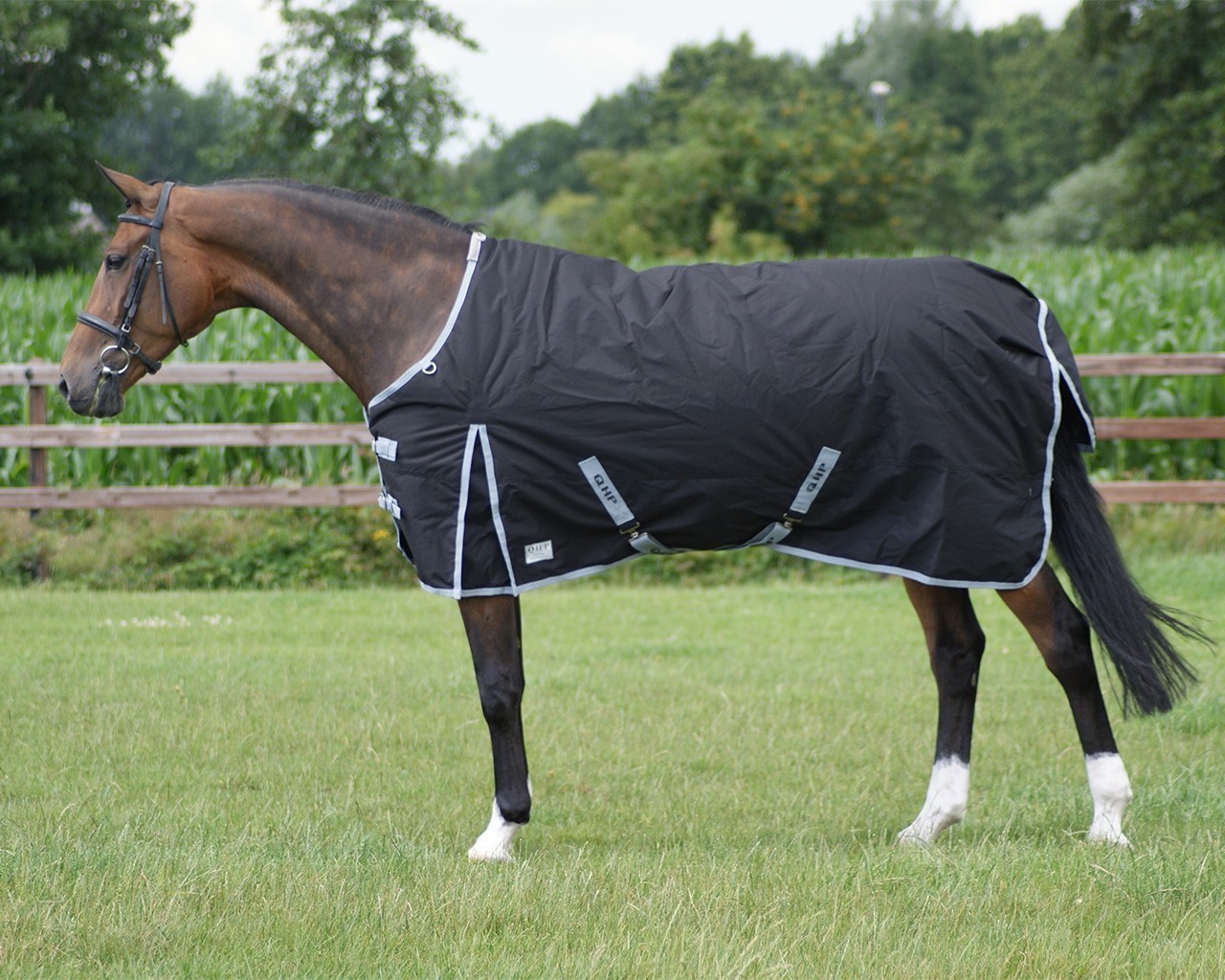 QHP Rain Rug Turnout 600, 200 gram QHP Rain Rug Turnout 600, 200 gram
