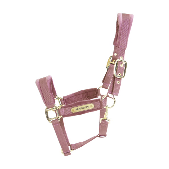 Velvet Halster Kentucky Velvet Halster Kentucky