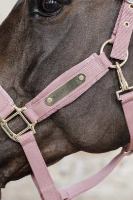 Velvet Halster Kentucky Velvet Halster Kentucky