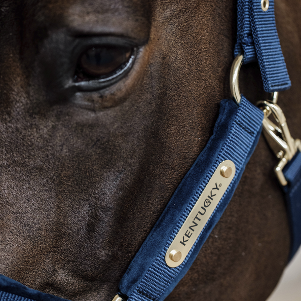 Velvet Halster Kentucky Velvet Halster Kentucky